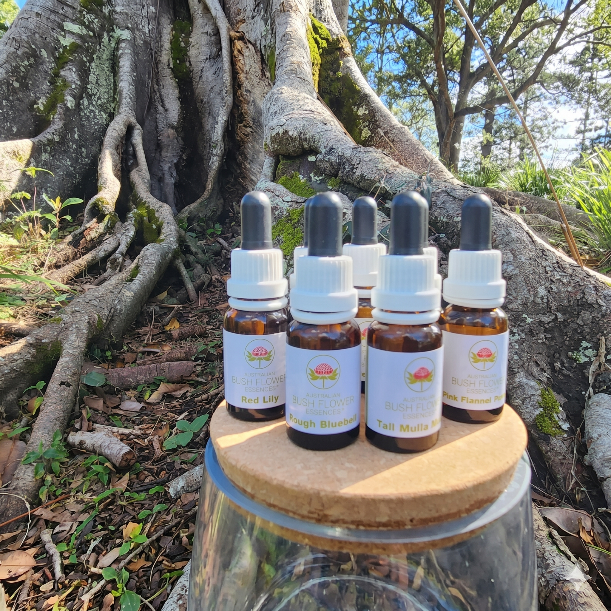 Seven Flowers Energy Spray (Absorb Positive Energy)